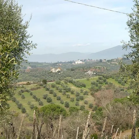 Olive Tree Apartament