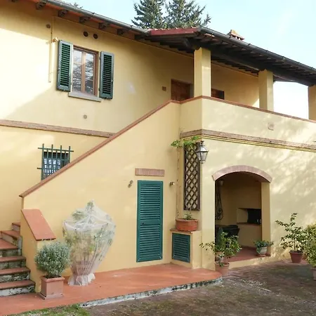 Olive Tree Impruneta