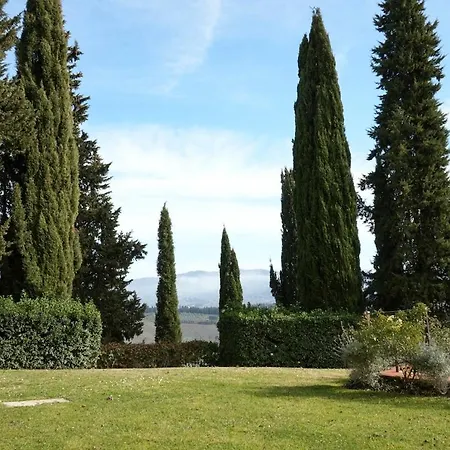 Olive Tree Apartament