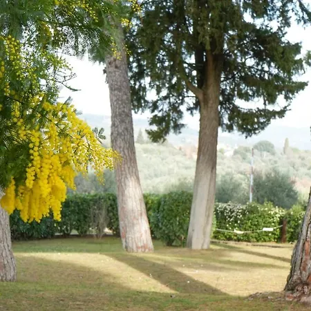 Apartament Olive Tree