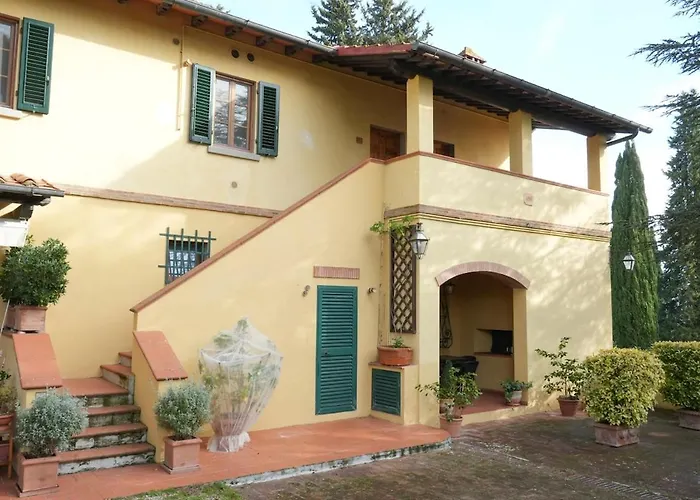 Olive Tree Impruneta