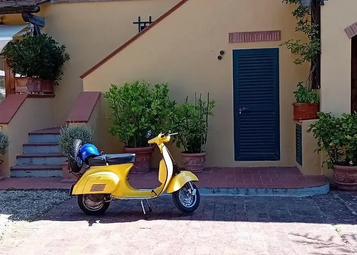 Olive Tree Apartament