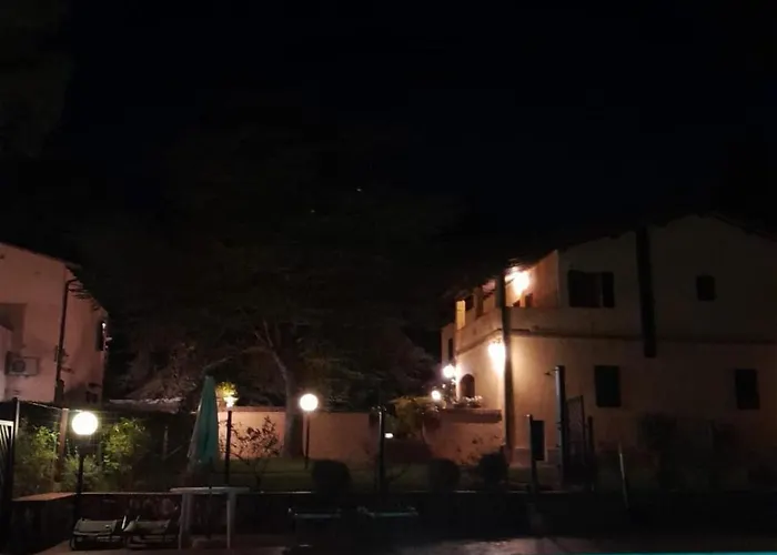 Olive Tree إمبرونيتا