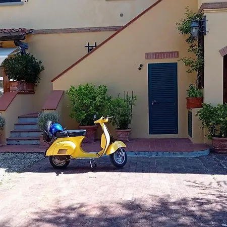 Olive Tree Apartment